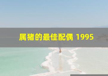 属猪的最佳配偶 1995